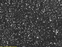 Messier 24, deel van de Sagittarius-arm van de Melkweg.